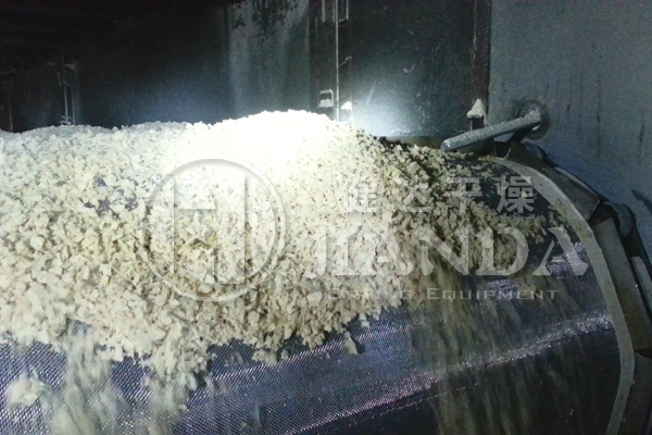 植物蛋白幹燥生產（chǎn）線（xiàn）