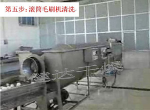 紅皮洋（yáng）蔥前處理和（hé）幹燥流水線