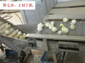 蔬（shū）菜（cài）脫水-上切丁機