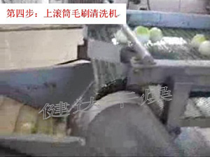 蔬菜脫（tuō）水-上滾（gǔn）筒毛刷清洗機