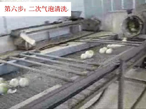蔬菜脫水-二次氣（qì）泡清洗