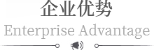 企業優（yōu）勢