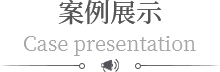 案例展（zhǎn）示