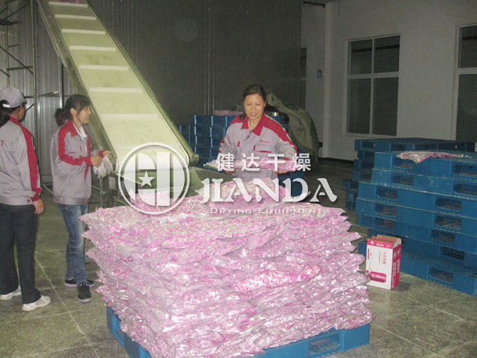 客戶使用玫瑰花專用（yòng）幹燥（zào）機實（shí）景